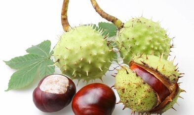 Horse chestnut from varicose veins of lower extremities