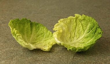 Treatment of Varicose Cabbage Leaves